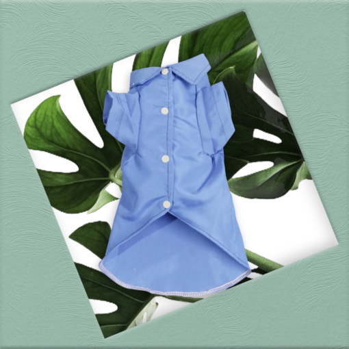 CAMISA AZUL FRANCIA
