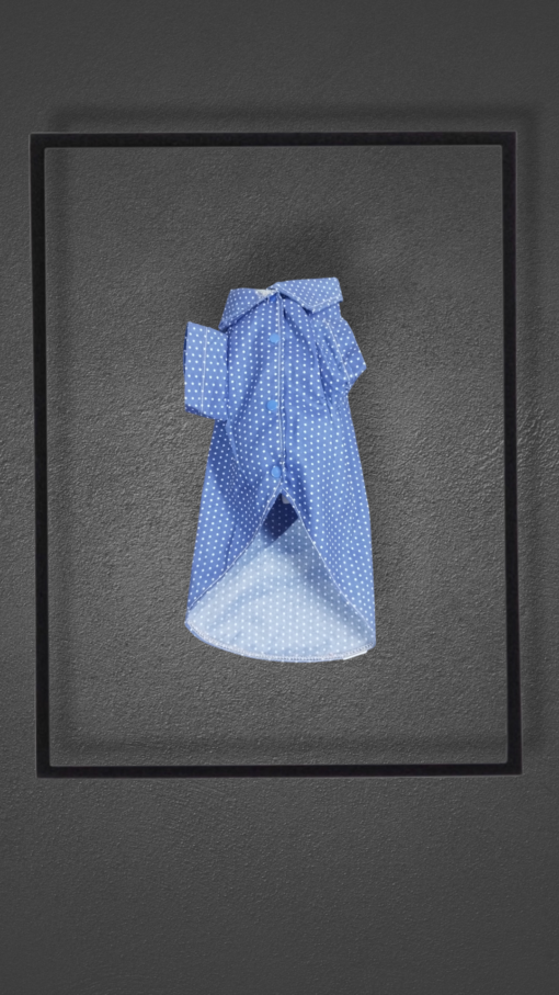CAMISA AZUL LUNAR